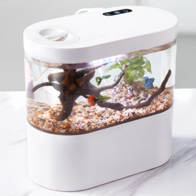 Betta Fish Tank - Acquario da Tavolo Creativo con Sistema
