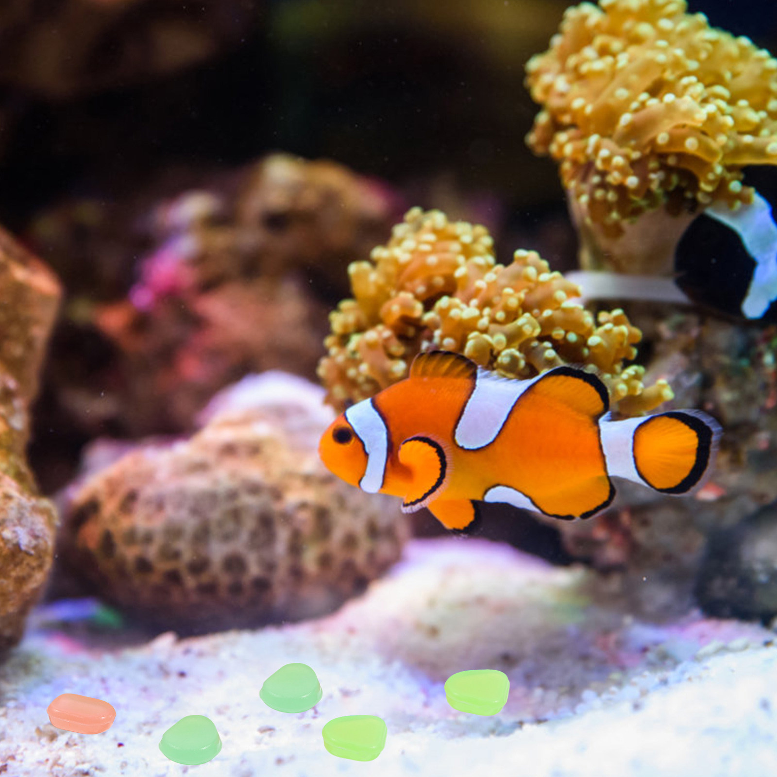 400 pezzi di ciottoli fosfores - Fish Tank Gravel recensione e prezzo