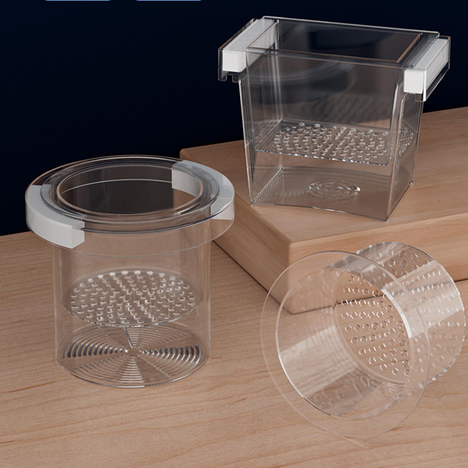 Scatola di Isolamento Galleggi - Aquarium Fish Betta recensione e prezzo