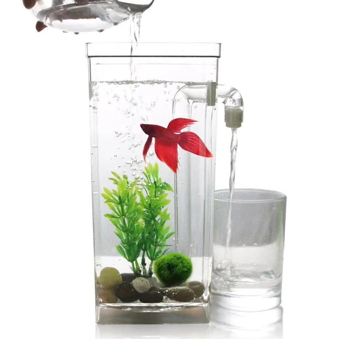 Serbatoio per pesci da tavolo  - Aquarium Fish Betta recensione e prezzo