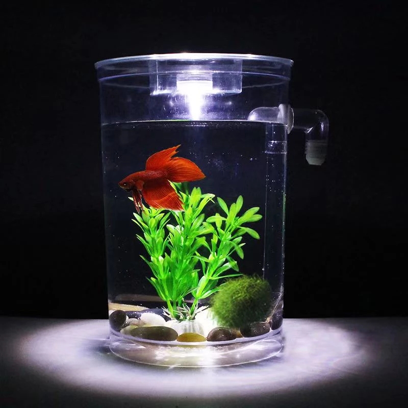 Serbatoio per pesci da tavolo  - Aquarium Fish Betta recensione e prezzo