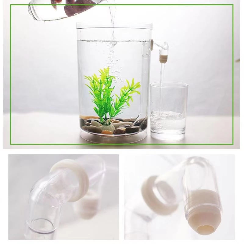 Serbatoio per pesci da tavolo  - Aquarium Fish Betta recensione e prezzo