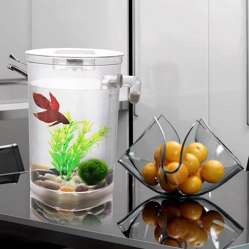 Serbatoio per pesci da tavolo  - Aquarium Fish Betta recensione e prezzo
