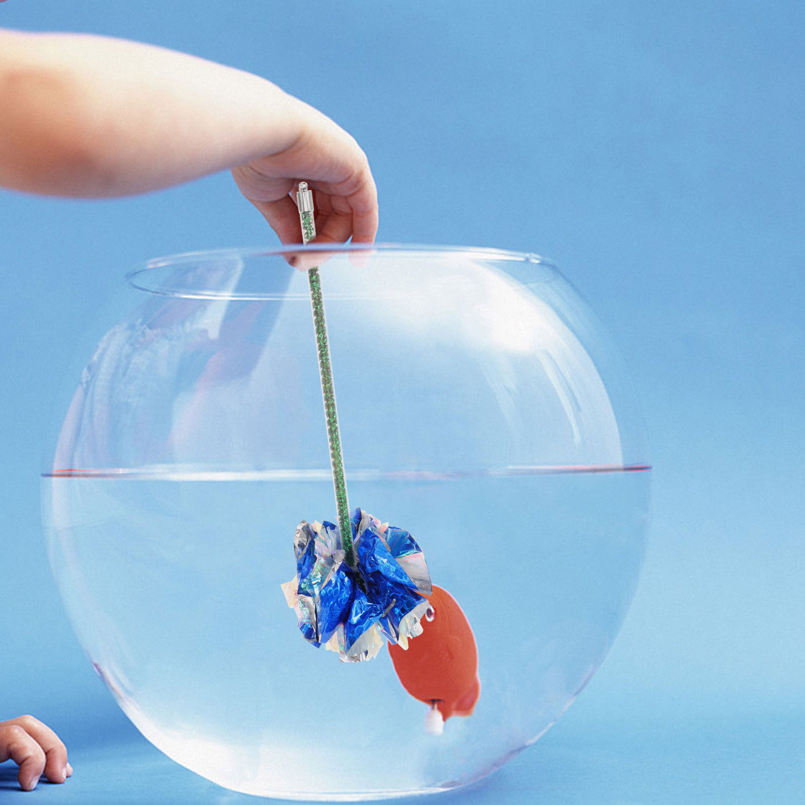 Bastoncino per l'addestramento - Aquarium Fish Betta recensione e prezzo