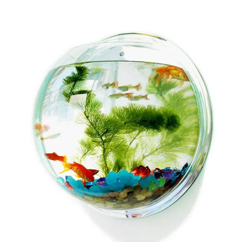 Pinsjar Ciotola per pesci in a - Betta Fish Tank recensione e prezzo