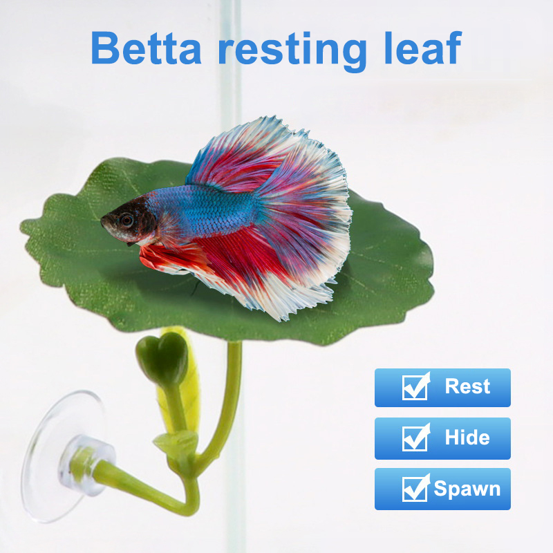 (Ce14)1/5PC Amaca a forma di f - Aquarium Fish Betta recensione e prezzo