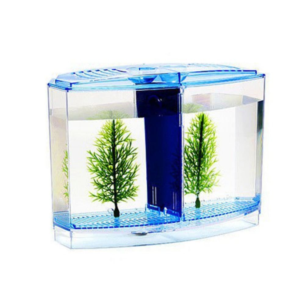 Acquario Betta trasparente, ac - Betta Fish Tank recensione e prezzo