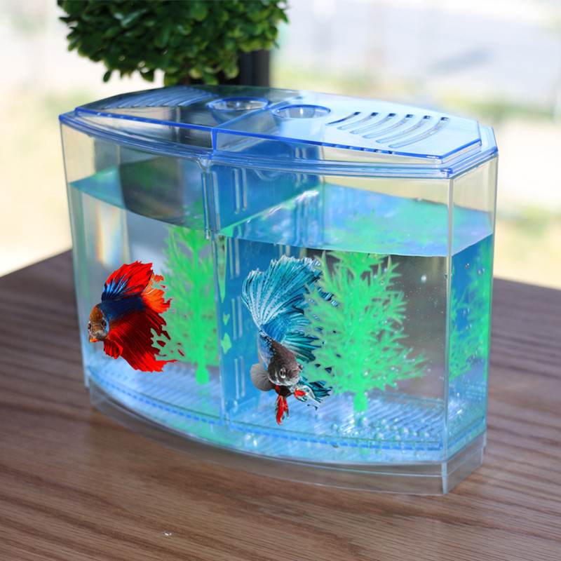 Giocattolo nuovo e divertente  - Aquarium Fish Keeping recensione e prezzo