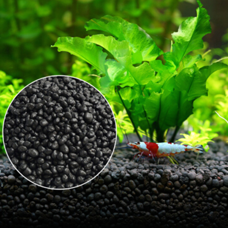 Acquario semi di piante terren - Fish Tank Gravel recensione e prezzo