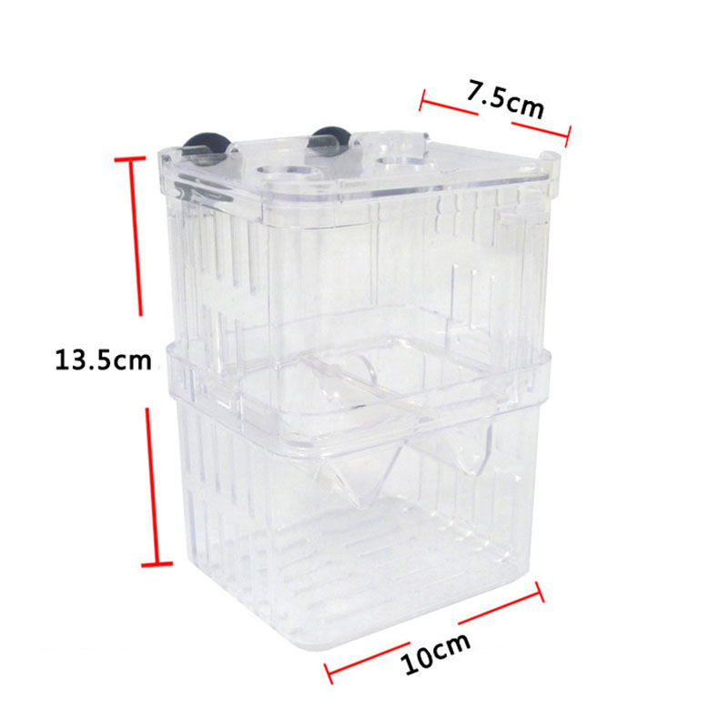 Scatola di isolamento per alle - Aquarium Fish Betta recensione e prezzo